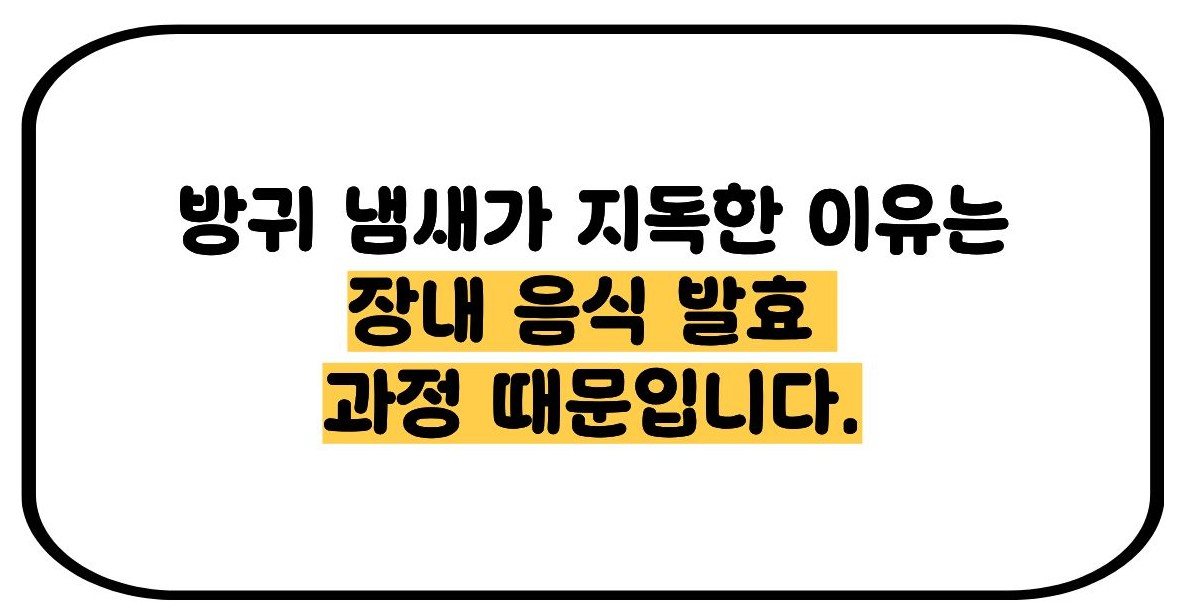 방귀 냄새가 지독해요