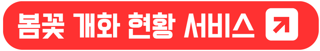 서울 벚꽃놀이 명소들