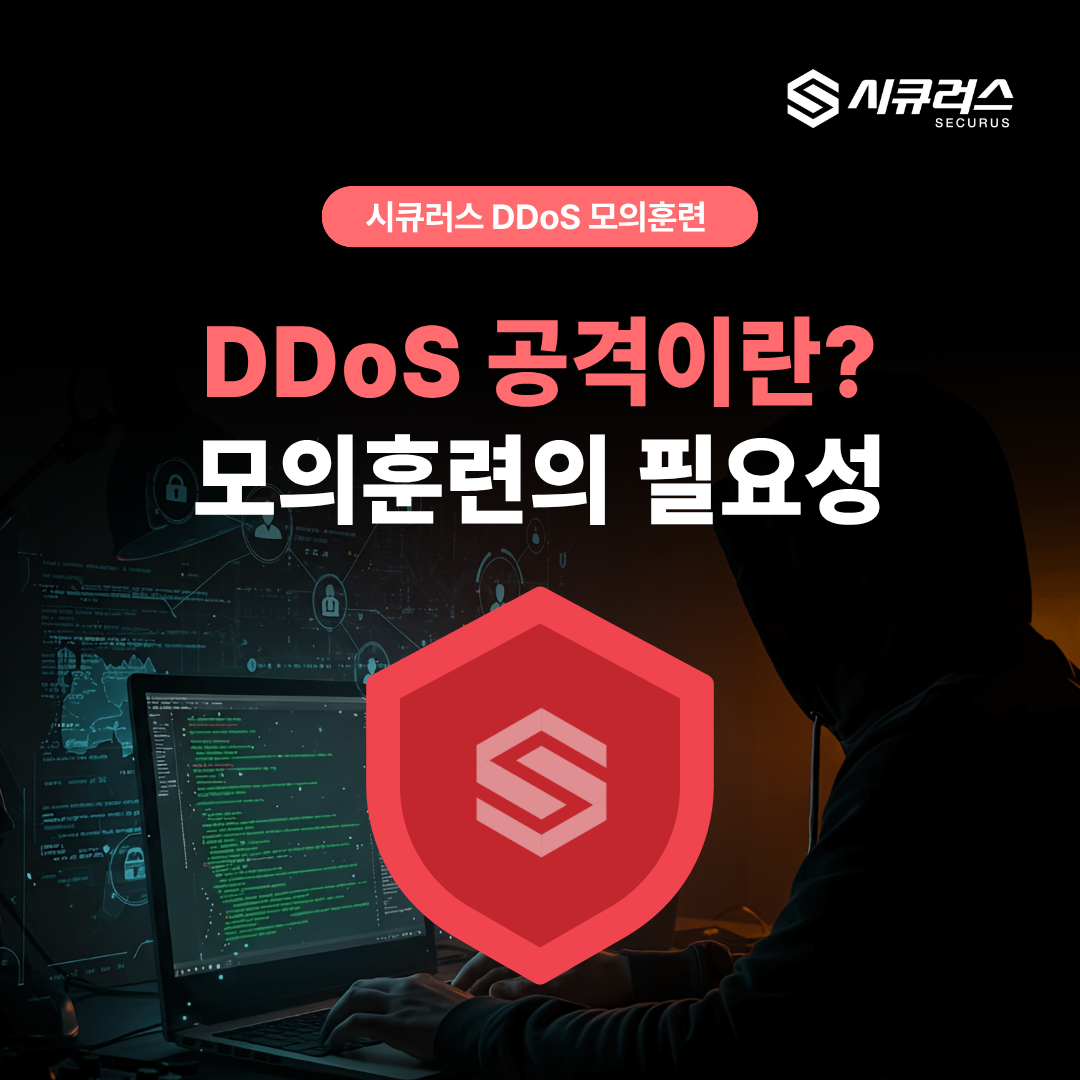 시큐러스 DDoS 공격이란