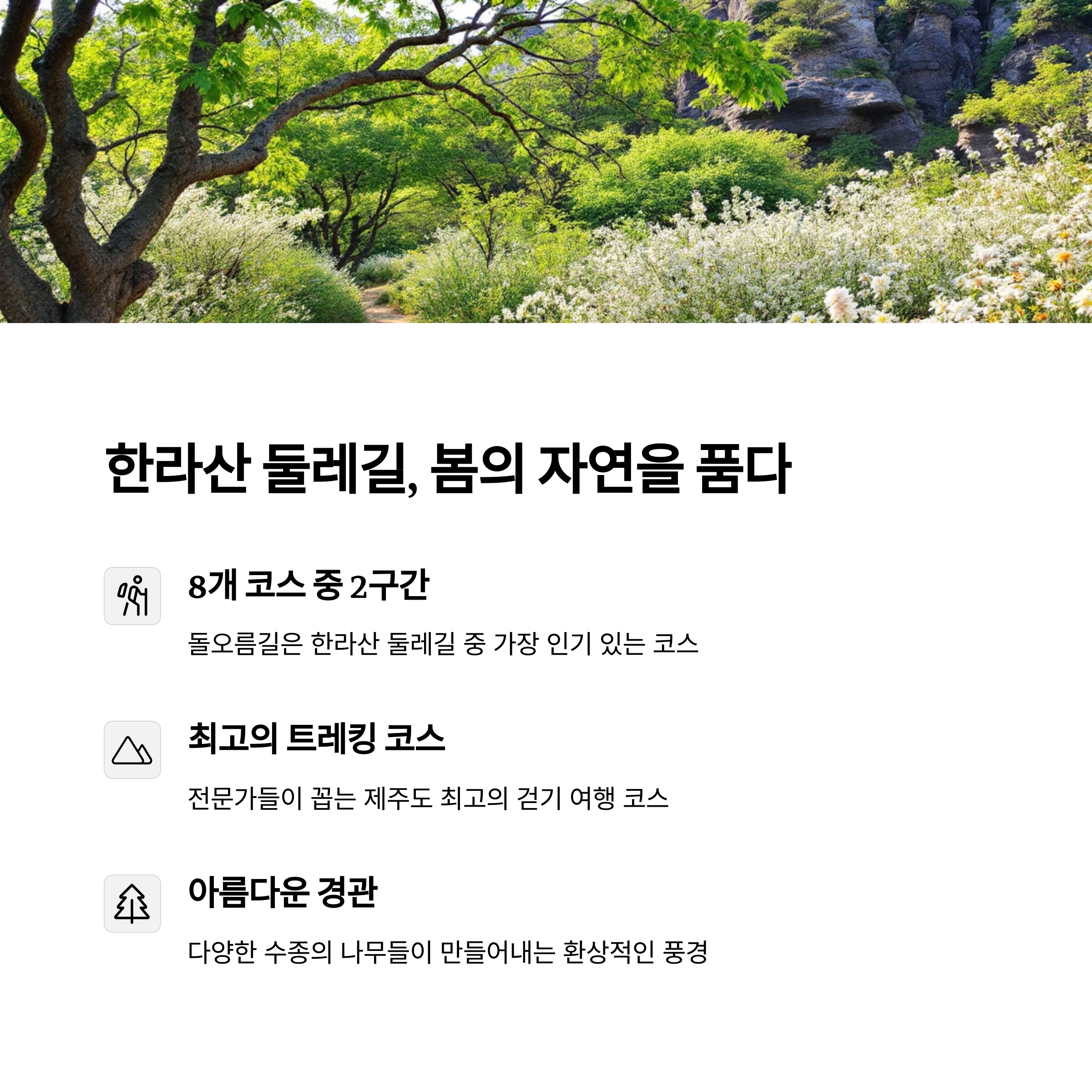 한라산 둘레길 돌오름길