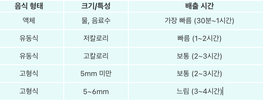 음식물 크기별 배출 시간