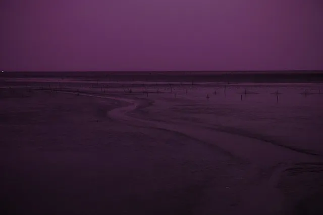 충남 서산 태안 당진 비 오는 날 아이와 갈만한 실내 장소_6