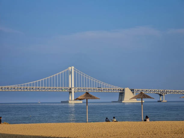 부산 광안리 해수욕장 개장 및 편의시설 정보
