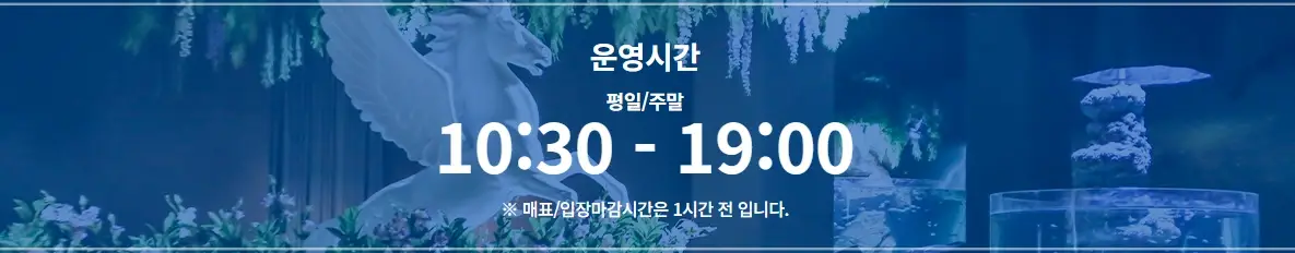 대전-신세계-아쿠아리움-입장료-할인-운영-시간