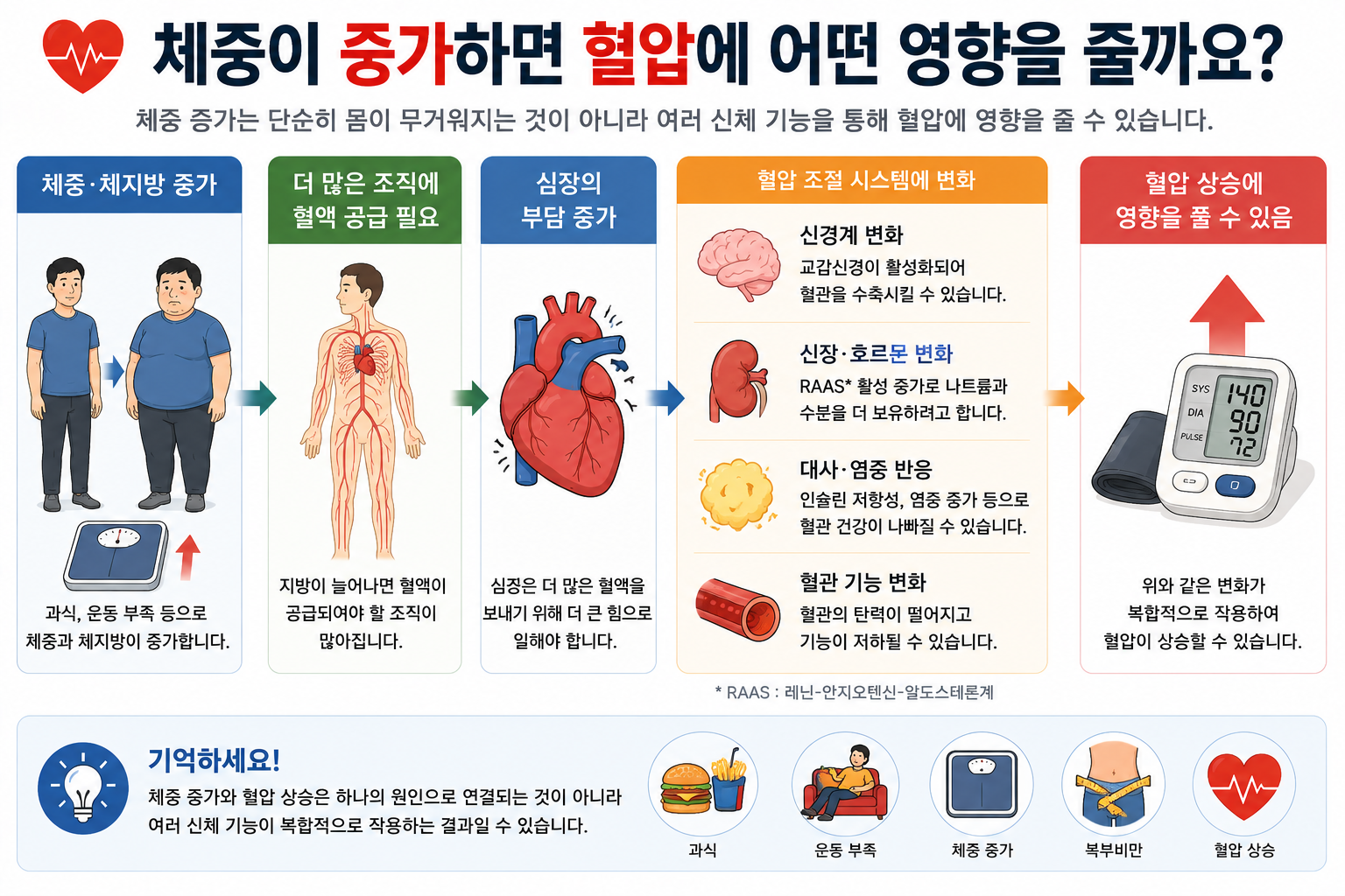 체지방 증가와 신장&middot;신경&middot;대사 조절 및 혈압의 관계를 설명한 개념도