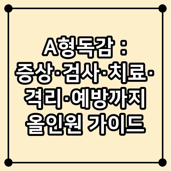 A형독감 : 증상·검사·치료·격리·예방까지 올인원 가이드
