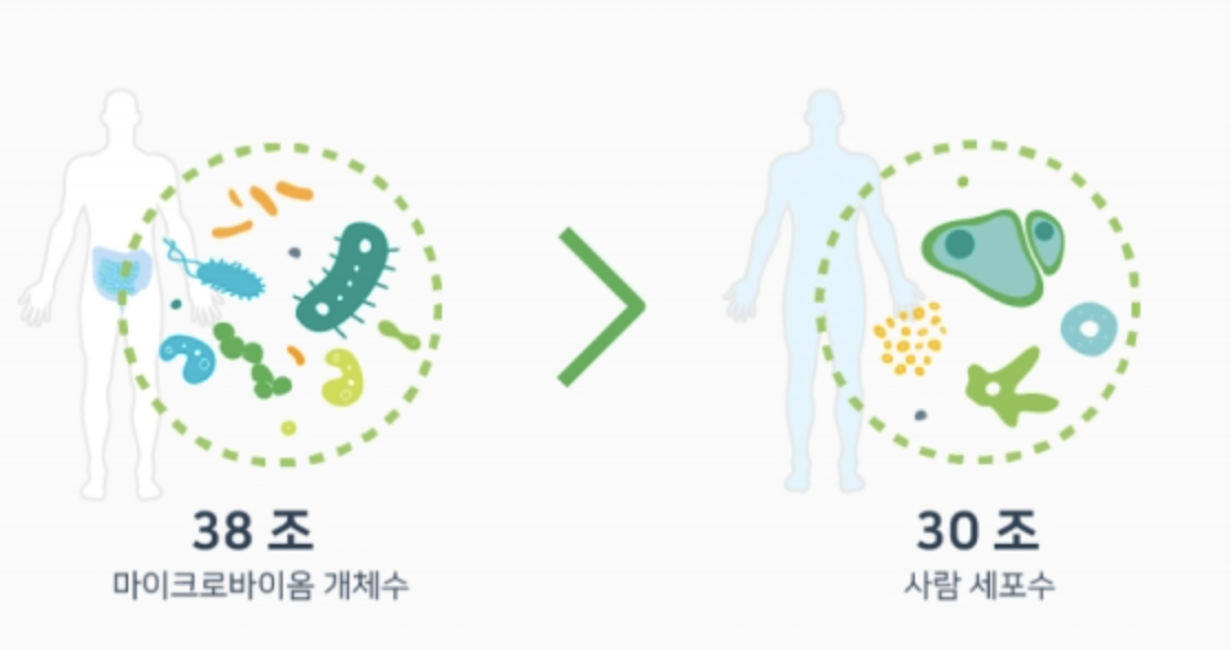 펩타이드 프로바이오틱스 마이크로바이옴이란?? 설명 사진