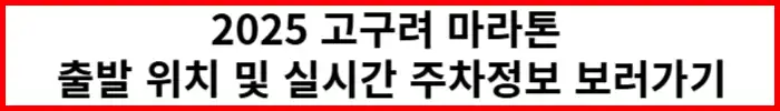 2025-고구려마라톤-주차장정보
