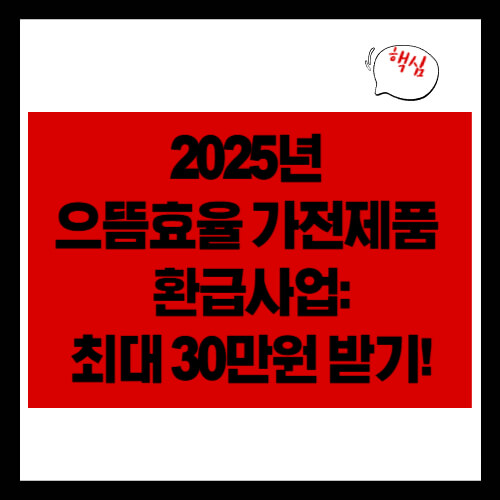 2025년 으뜸효율 가전제품 환급: 최대 30만원 받는 법