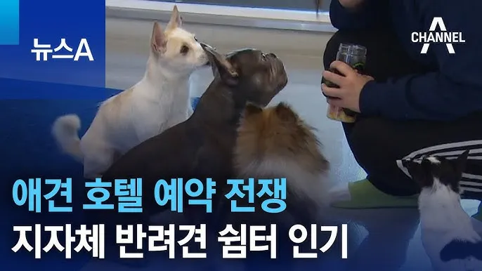 호텔예약 사이트 추천 아고다 트리바고 해외 국내_7