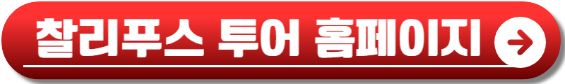 찰리푸스 내한