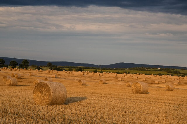 맹지 토지&amp;#44; 무조건 피해야 할까? 탈출 가능한 5가지 조건
