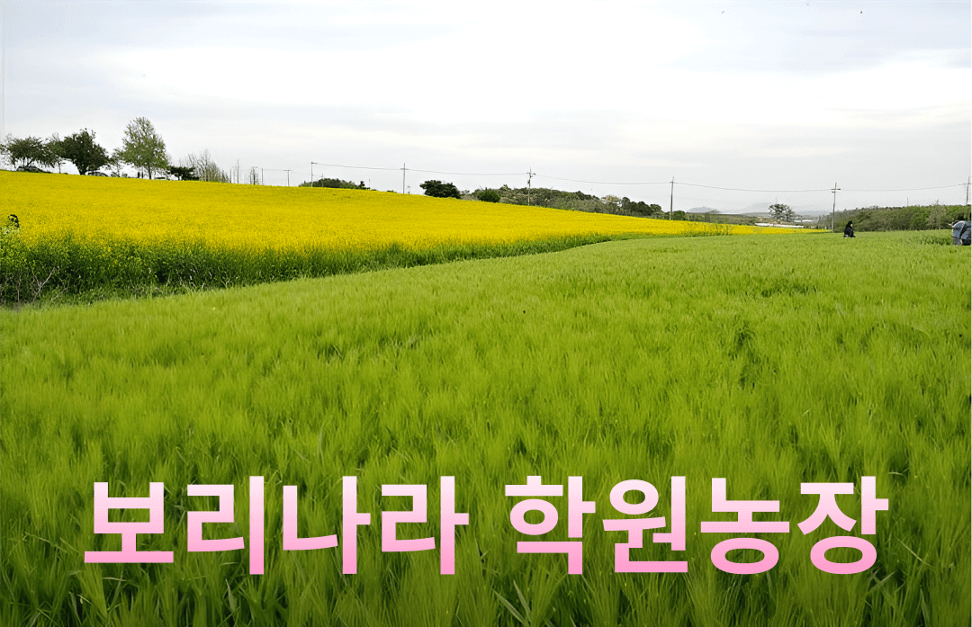 https://search.naver.com/search.naver?where=nexearch&sm=top_hty&fbm=0&ie=utf8&query=%EB%B3%B4%EB%A6%AC%EB%82%98%EB%9D%BC+%ED%95%99%EC%9B%90%EB%86%8D%EC%9E%A5