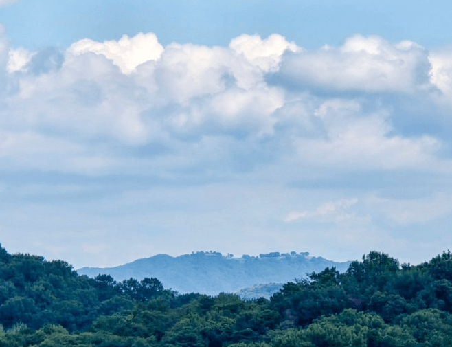 런던베이글뮤지엄