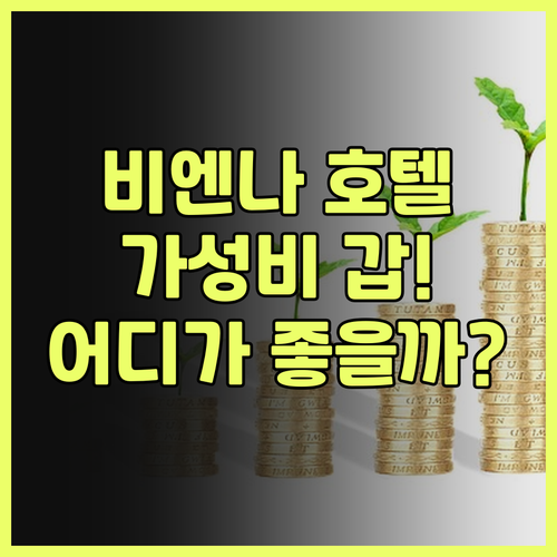 가성비 갑! 비엔나 호텔 어디? St..