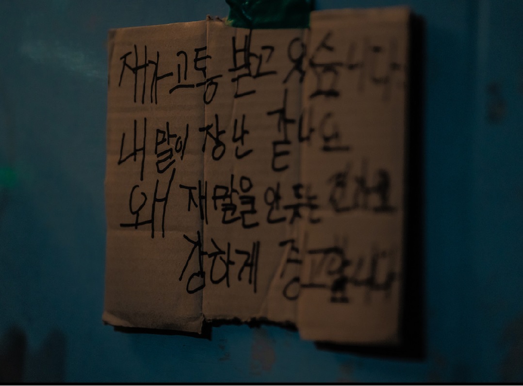 노이즈
