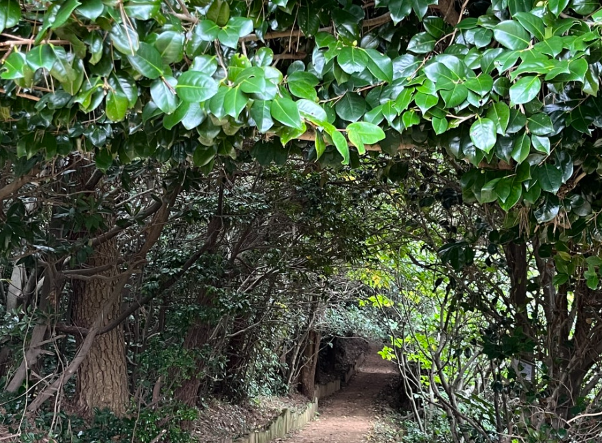 마끝전망대 가는길