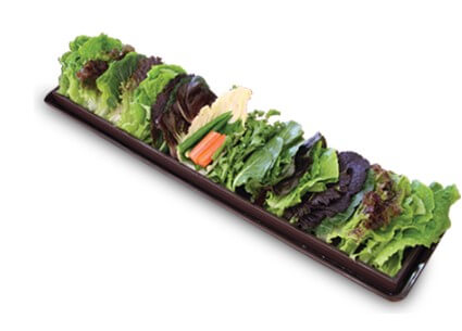 더본코리아 공모주 수요예측