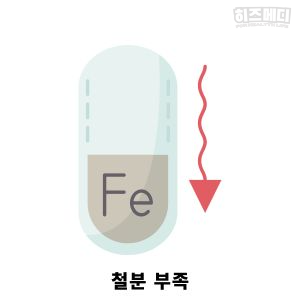 철분 많은 음식