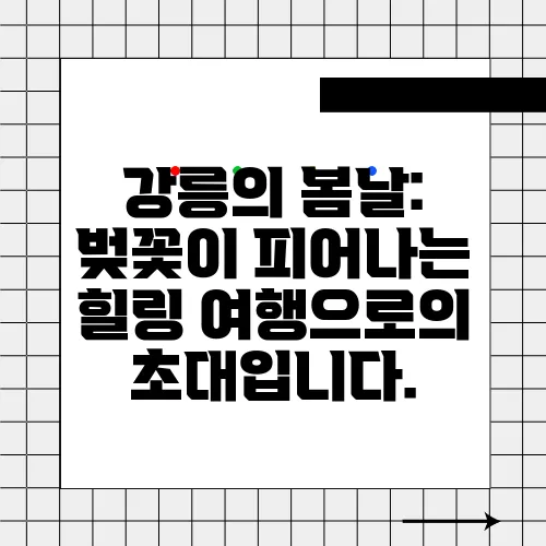 강릉의 봄날: 벚꽃이 피어나는 힐링 여행으로의 초대입니다.
