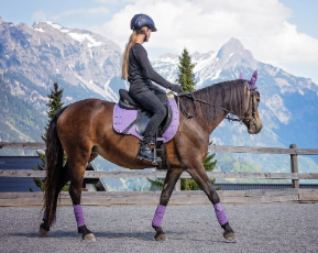 말을 타고 가는 꿈