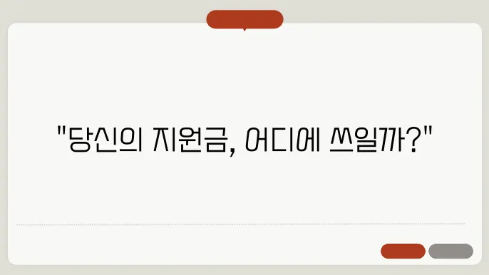 민생 지원금 사용처