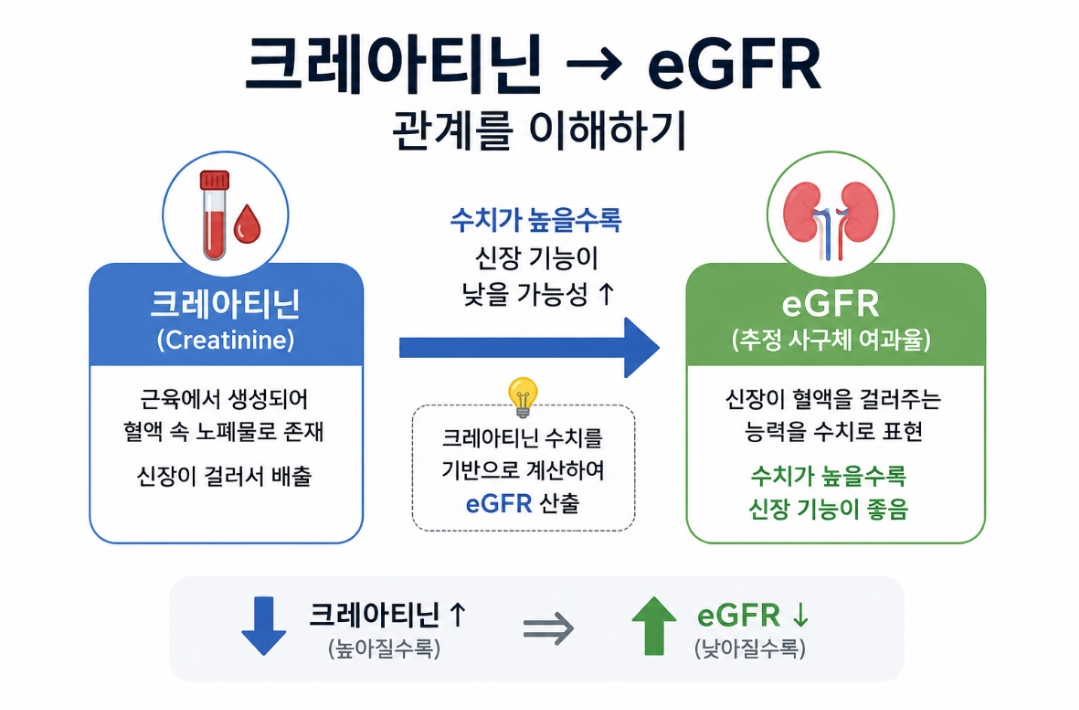 크레아티닌 eGFR 관계