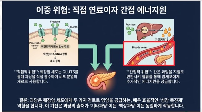 과당이 췌장암 유발