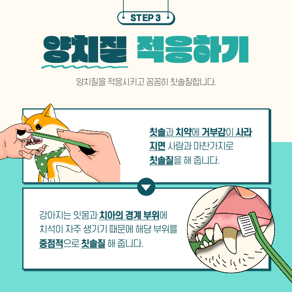 양치질 적응하기