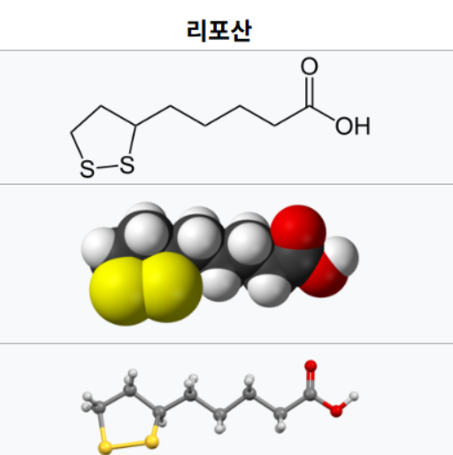 알파리포산의 수용성 지용성 구조 관련 이미지 출처: 위키피디아