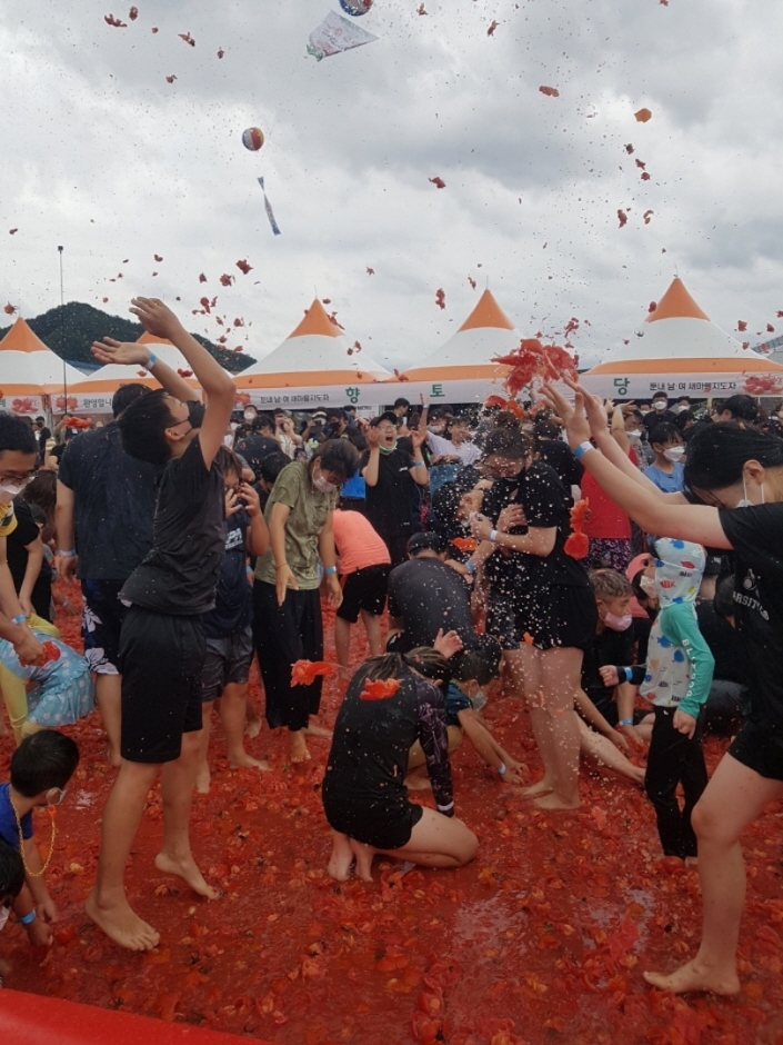 제13회 둔내고랭지 토마토 축제 기본일정과 프로그램 정리 홍진영 나태주 문희옥 영기 강설민 윤수현 박현빈 김완준 설하수 안지완 출연