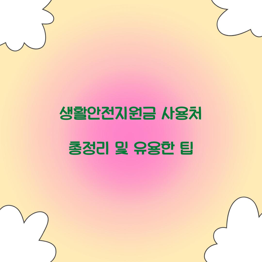 생활안전지원금 사용처