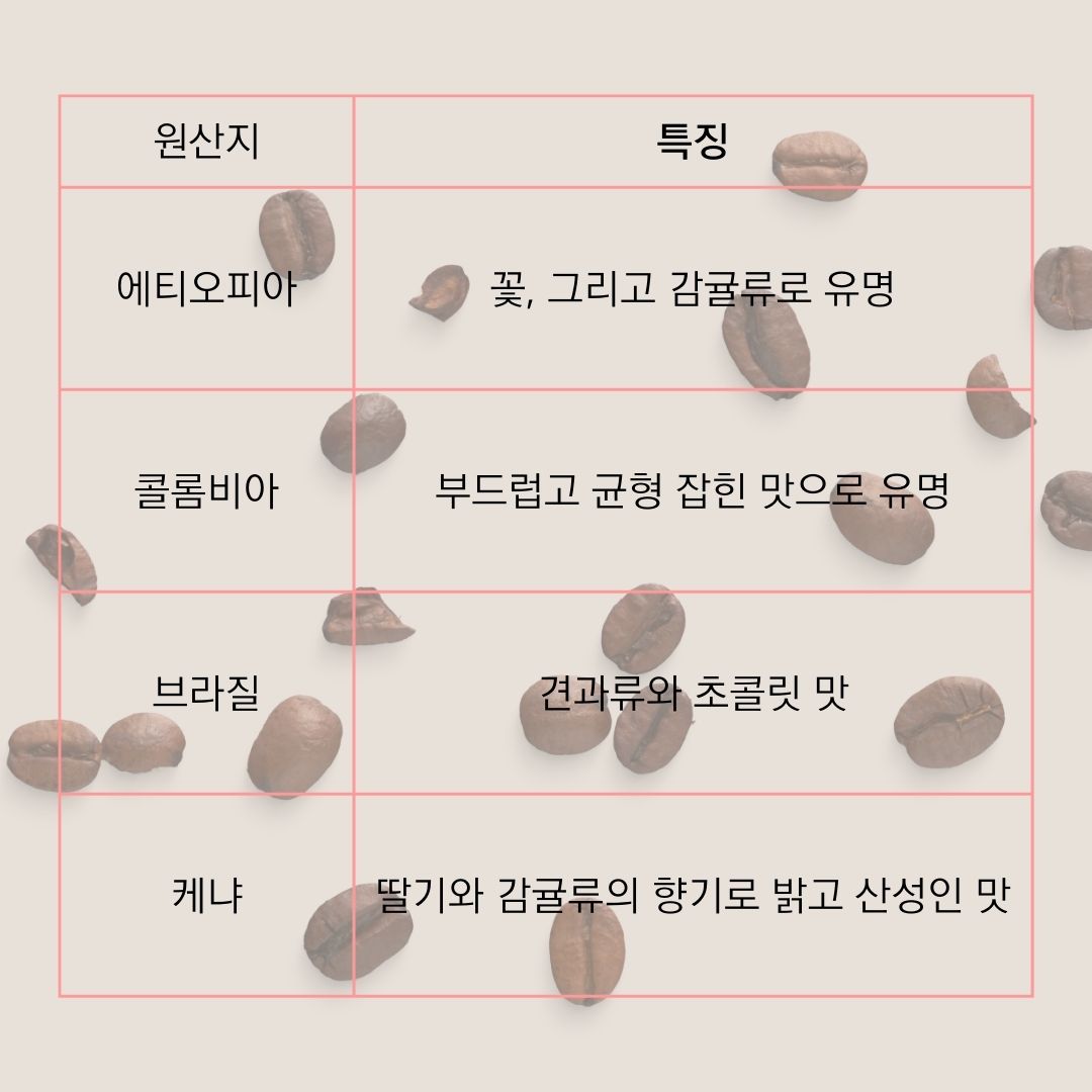 나라별 원두 특징