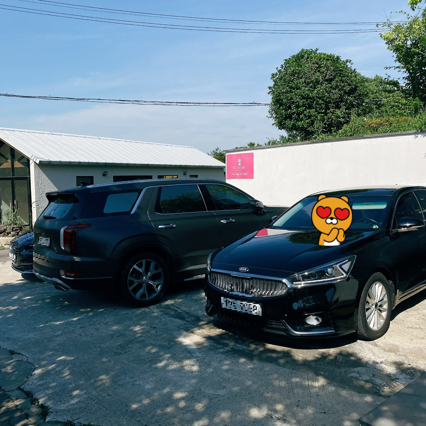 제주 서귀포 블라썸 꽃이피다 카페 인생샷 맛집