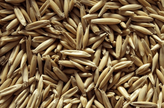 연갈색의 껍질을 가진 쌀보다 5배 정도 길쭉한 귀리들이 한가득 쌓여있다.