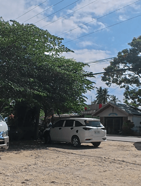 보홀트래블 차량