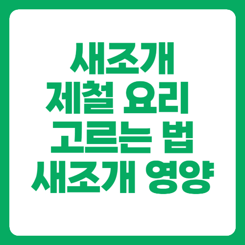 새조개 제철 요리 고르는 법 영양