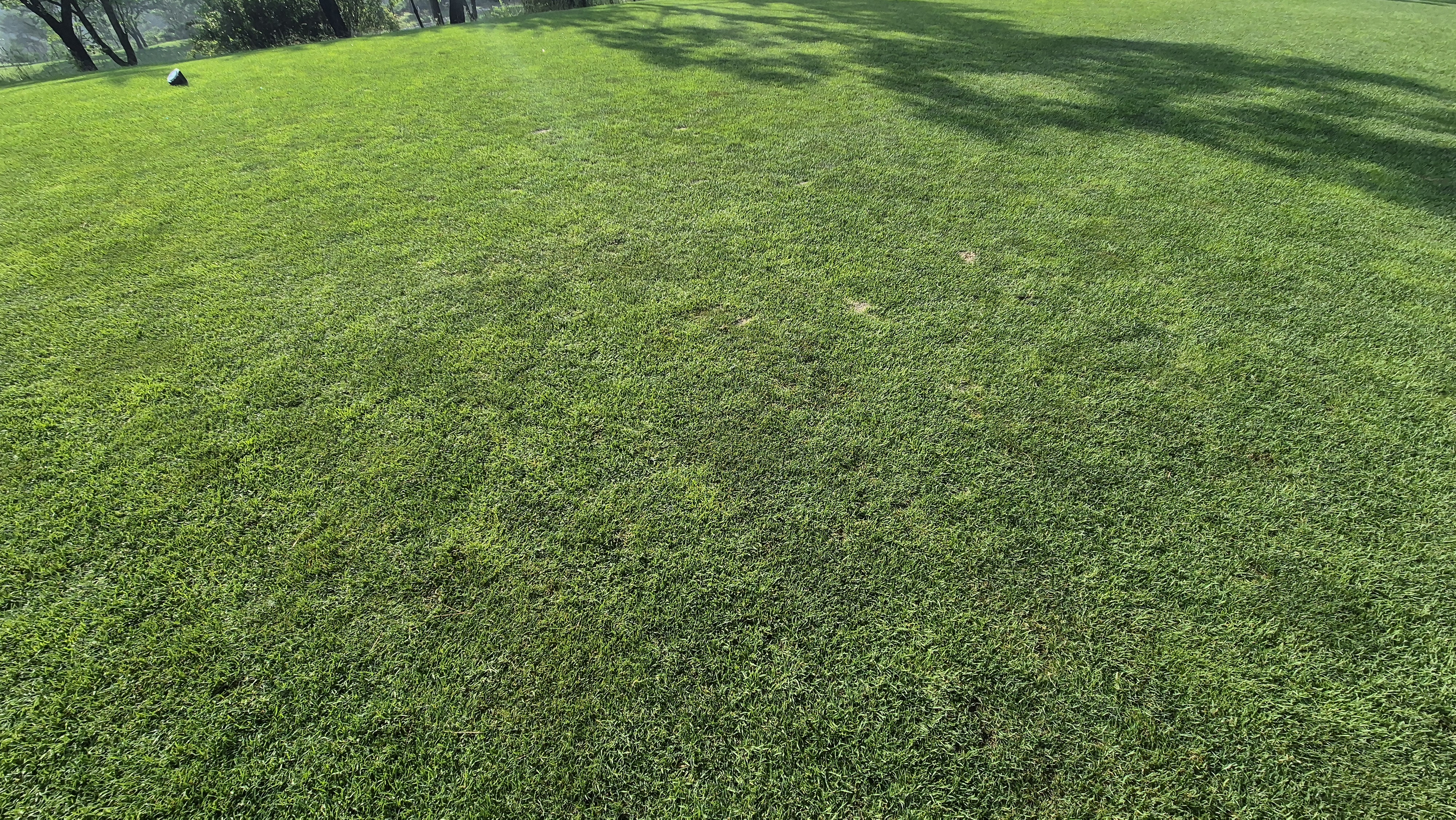 샤인데일cc 라운드 후기