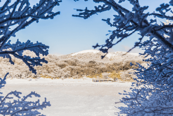 제주도 여행 가을 겨울 가볼만한 곳 오름 추천 입장료 소요시간 반려동물 동반
