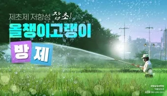 잡초 방제 전략 광폭멀칭 피복재 선발아 겨울관리_24