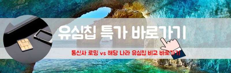 그리스유심칩