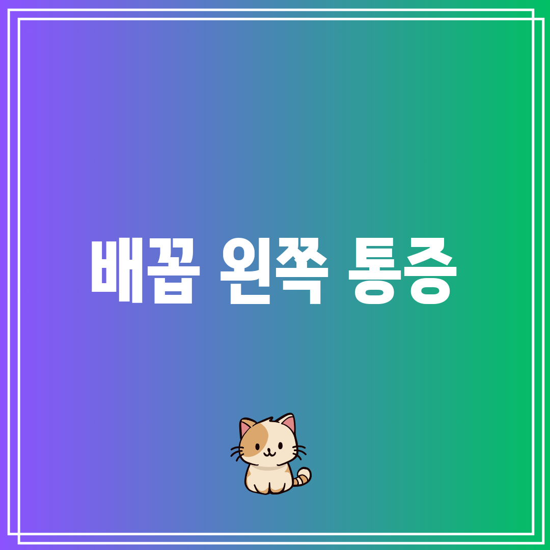 배꼽 왼쪽 통증