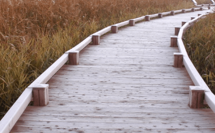 가을여행지 순천만습지