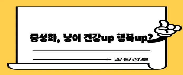 고양이 중성화 반려동물 건강과 행복을 위한 선택입니다!