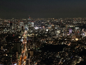 도쿄 여행 추천 도쿄 타워