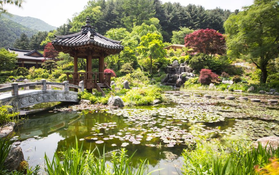 따스한 봄날 아이와 나들이 코스 이미지