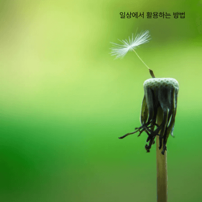 수용 vs 마음챙김｜비슷하지만 다른 두 가지 마음자세