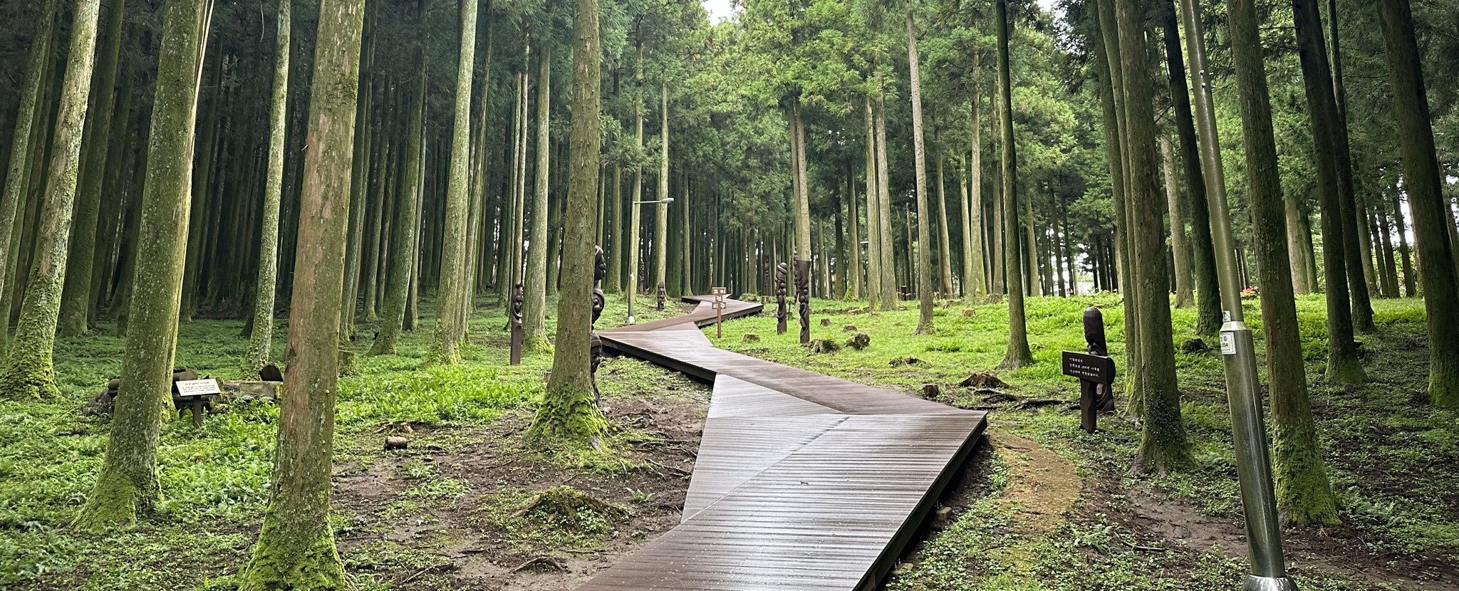 절물 휴양림 산책로