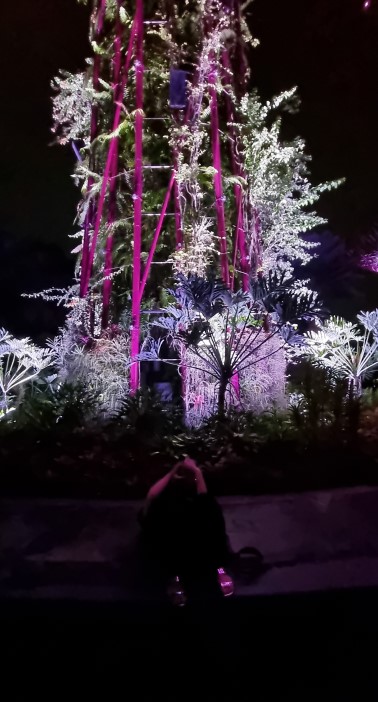 가든스 바이 더 베이 슈퍼 트리 쇼