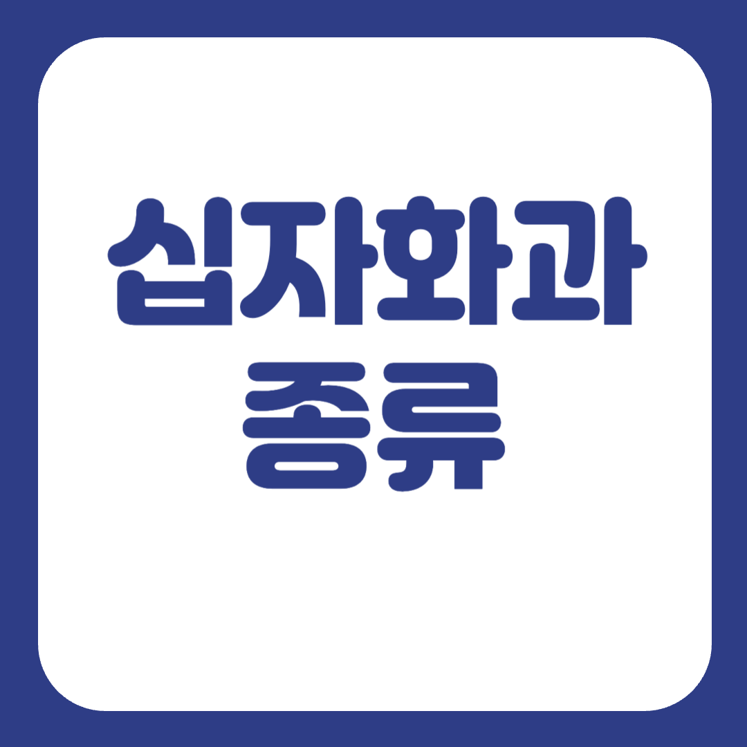 십자화과 채소 종류